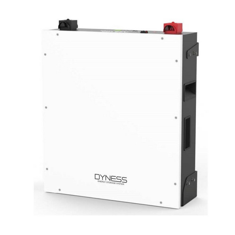 Dyness DL5.0X lithium ion battery