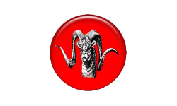 Industry partner logo from Japston Energy